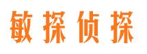 宣州市私家侦探